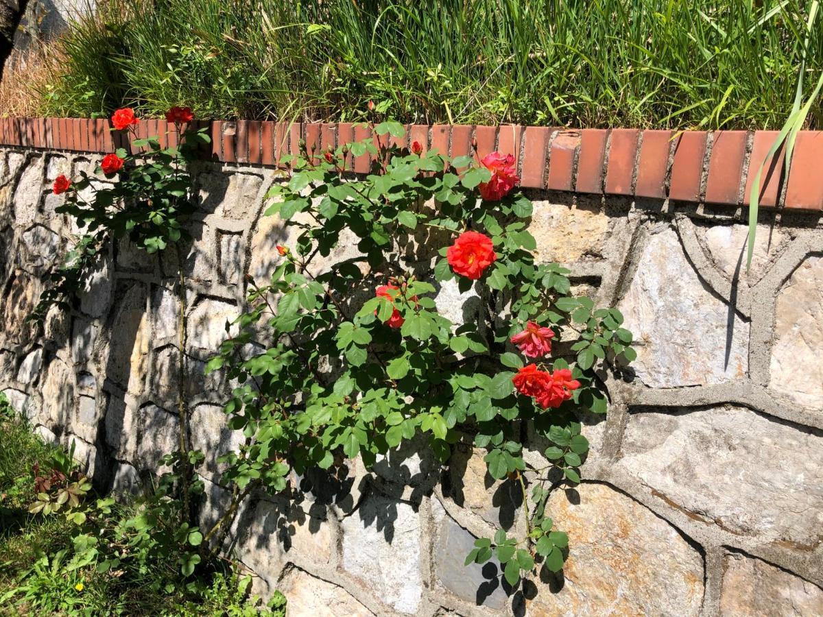 La Collina Di Albiro Affittacamere Arcola Εξωτερικό φωτογραφία