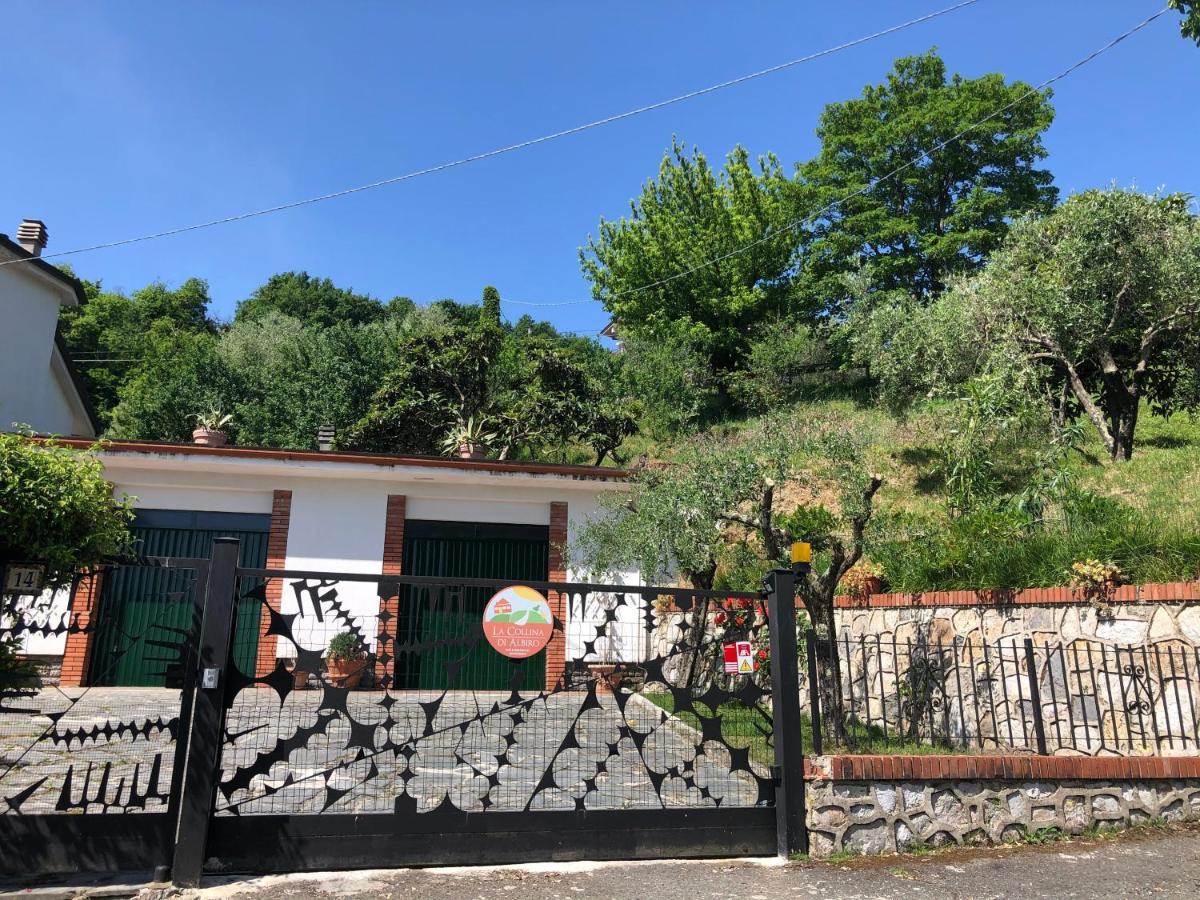 La Collina Di Albiro Affittacamere Arcola Εξωτερικό φωτογραφία