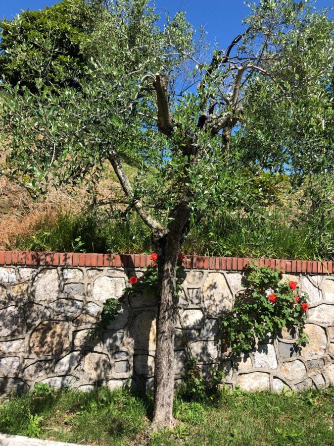 La Collina Di Albiro Affittacamere Arcola Εξωτερικό φωτογραφία