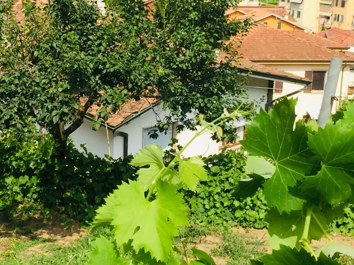 La Collina Di Albiro Affittacamere Arcola Εξωτερικό φωτογραφία